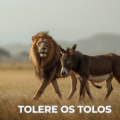 TOLERE OS TOLOS: uma lição incômoda sobre liderança